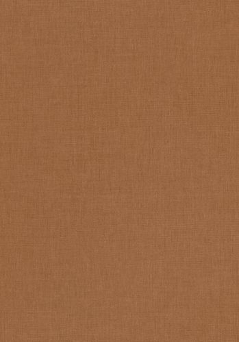 Papier  Peint Uni Caselio