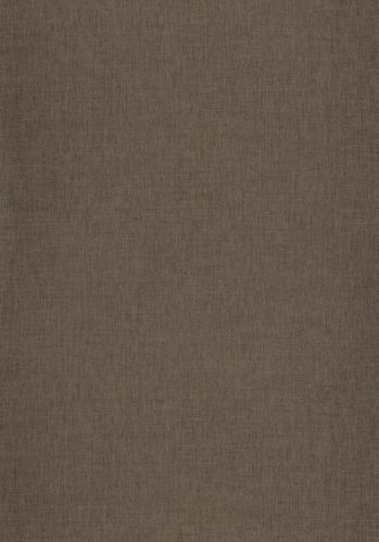 Papier  Peint Uni Caselio
