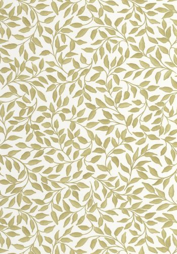 Echantillon Papier Peint Printemps Caselio