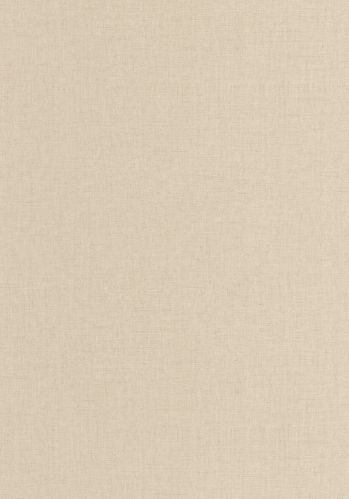 Papier  Peint Uni Mat Caselio