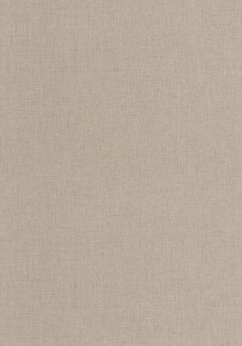 Echantillon Papier Peint Uni Mat Caselio
