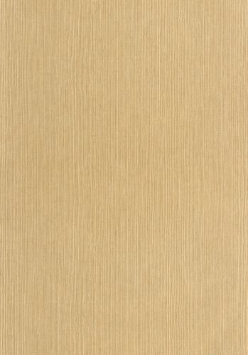 Echantillon Papier Peint Sisal Caselio