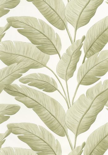 Echantillon Papier Peint Tropicalia Caselio