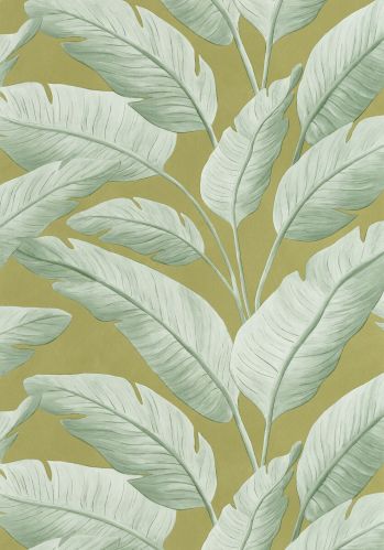 Echantillon Papier Peint Tropicalia Caselio