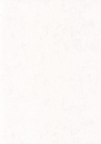 Papier  Peint Uni Mat Caselio