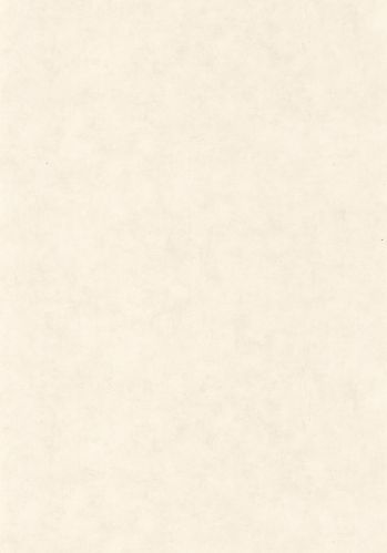 Papier  Peint Uni Mat Caselio