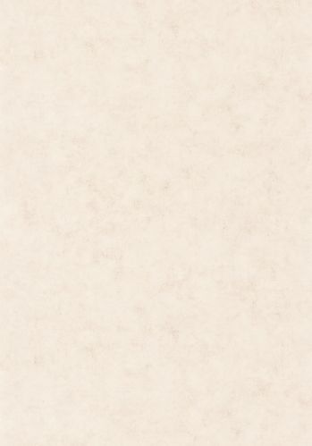 Papier  Peint Uni Mat Caselio