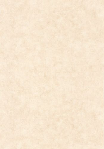 Papier  Peint Uni Mat Caselio