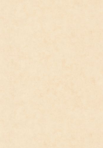 Papier  Peint Uni Mat Caselio
