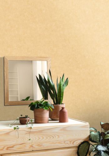 Papier  Peint Uni Mat Caselio