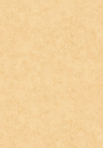 Papier  Peint Uni Mat Caselio