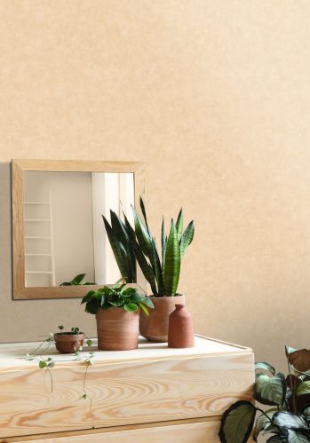 Papier  Peint Uni Mat Caselio
