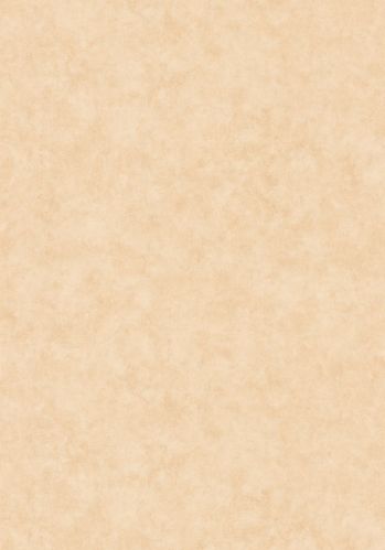 Papier  Peint Uni Mat Caselio