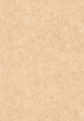 Papier  Peint Uni Mat Caselio
