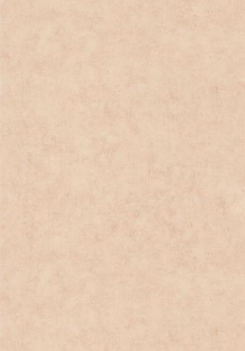 Papier  Peint Uni Mat Caselio