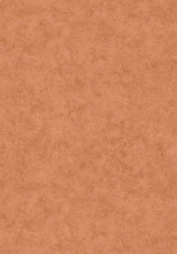 Papier  Peint Uni Mat Caselio