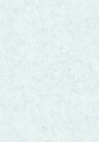 Papier  Peint Uni Mat Caselio