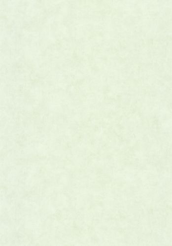Papier  Peint Uni Mat Caselio