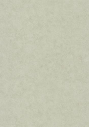 Papier  Peint Uni Mat Caselio