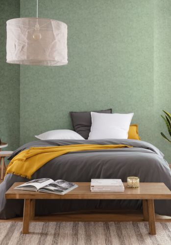 Papier  Peint Uni Mat Caselio