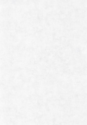 Papier  Peint Uni Mat Caselio