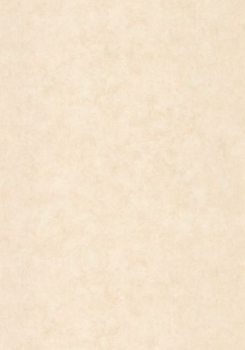 Papier  Peint Uni Metallise/nacre Caselio