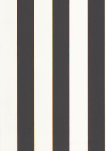Papier  Peint Golden Lines Caselio