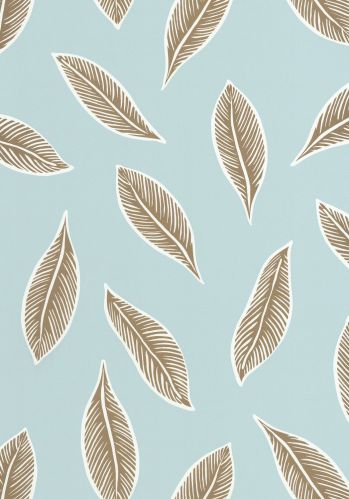 Papier  Peint Odyssee Gabon Caselio