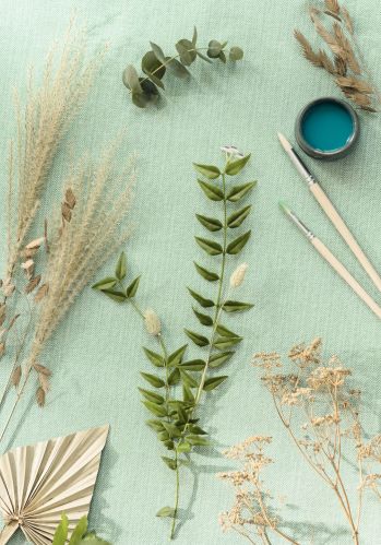 Papier  Peint Uni Mat Caselio