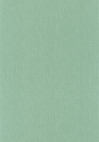 Papier  Peint Uni Mat Caselio