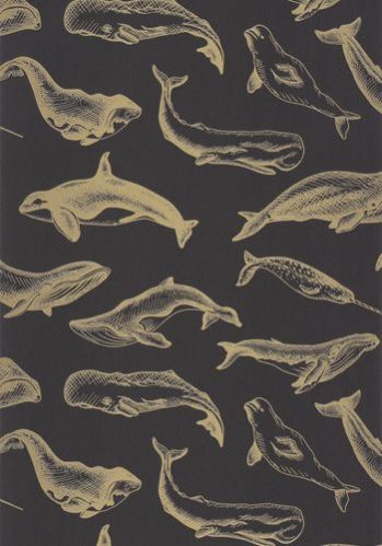Papier  Peint Whale Done Caselio