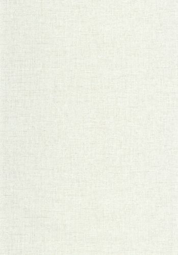 Papier  Peint Uni Metallise/irise Caselio