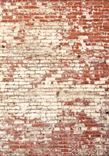 Panoramique Poetic Wall Caselio