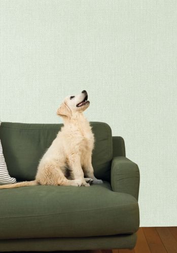 Papier  Peint Uni Mat Caselio