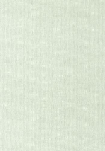 Papier  Peint Uni Mat Caselio