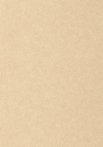 Papier  Peint Uni Mat Caselio