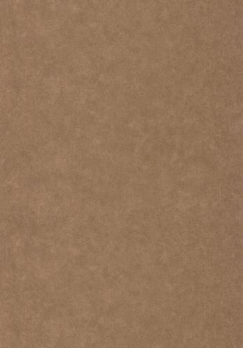 Papier  Peint Uni Metallise/ Irise Caselio