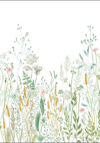 Panoramique Herbarium Caselio