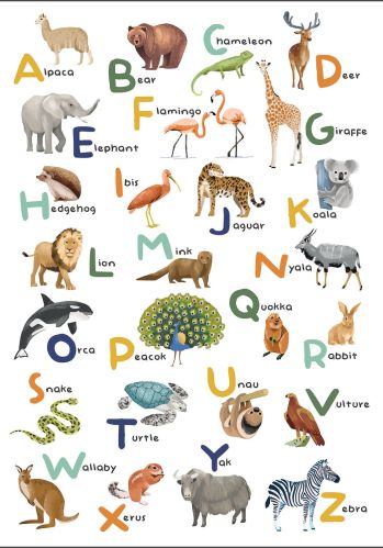 Panoramique Let S Learn The Alphabet Caselio