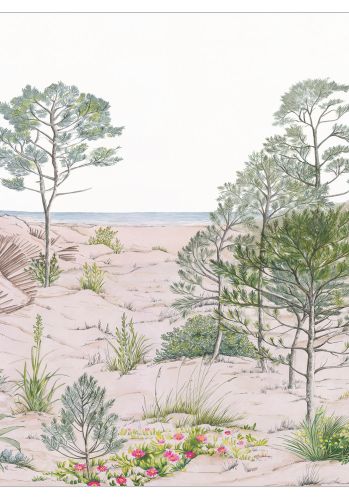 Panoramique Sand Dune Caselio
