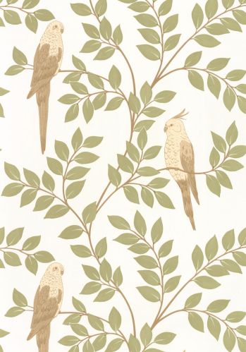 Papier  Peint Equateur Caselio