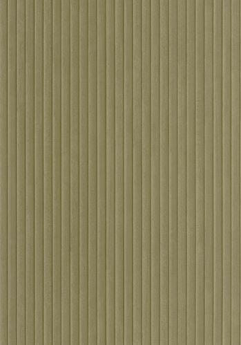 Papier  Peint Boisea Caselio