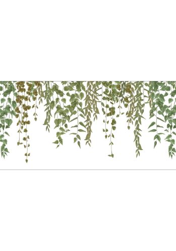 Frise Green Waterfalls Caselio