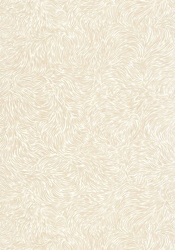 Papier  Peint Storm Caselio