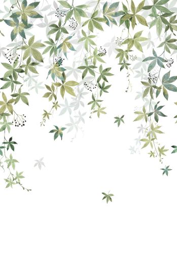 Panoramique Vigne En Fleur Casadeco