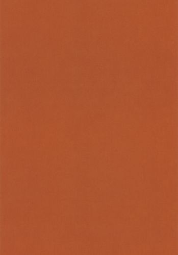 Papier  Peint Uni Caselio