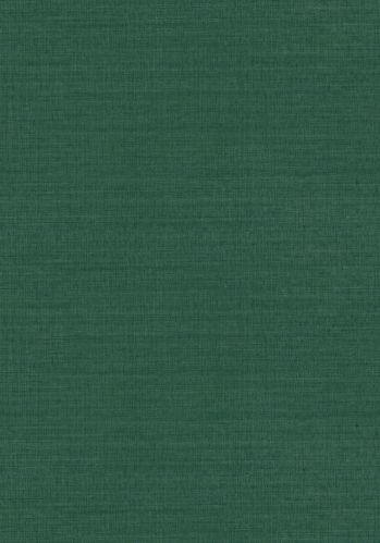 Papier  Peint Sora Casamance