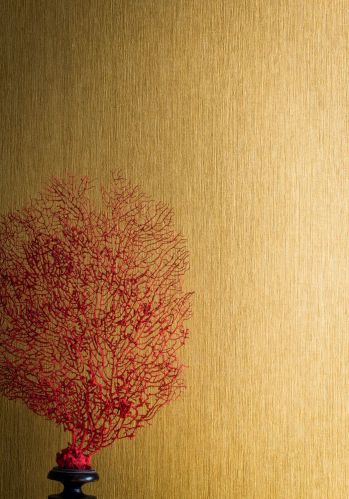 Papier  Peint Acoara Casamance