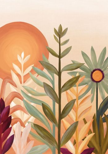 Panoramique Jardin De Cactus Casamance