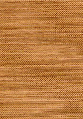 Papier  Peint Zostera Casamance